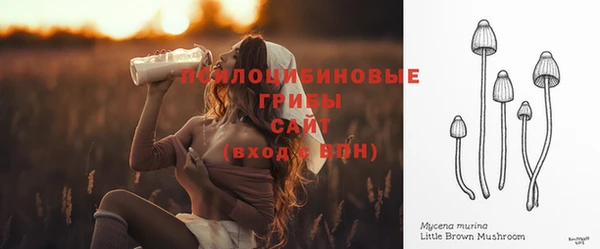 мескалин Абаза