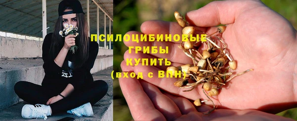эйфоретик Алексин